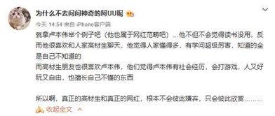 卢姓网红谐音名,谐音魅力，网络红人新风向