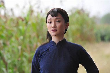 高梁红了电视剧全集在线观看,重温革命岁月，共鉴英雄传奇