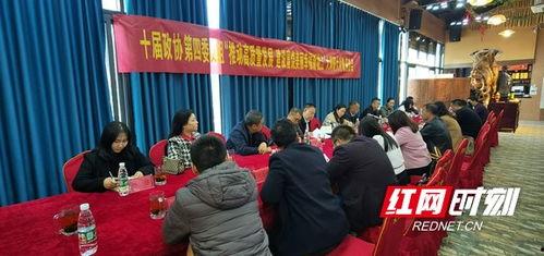 益阳红网益阳桃江红网,益阳红网带你领略红网魅力